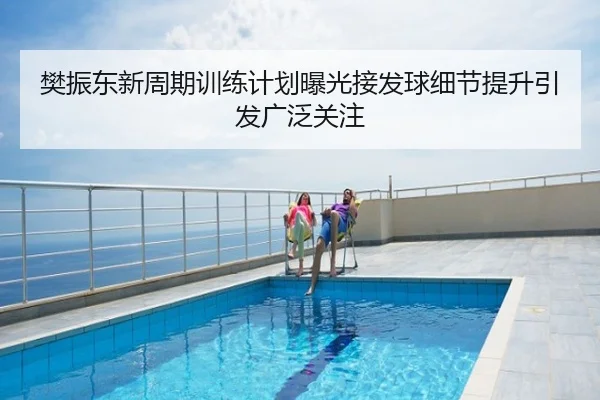 樊振东新周期训练计划曝光接发球细节提升引发广泛关注