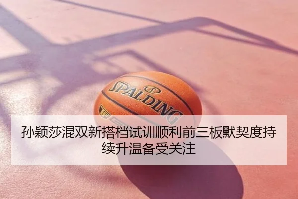 孙颖莎混双新搭档试训顺利前三板默契度持续升温备受关注